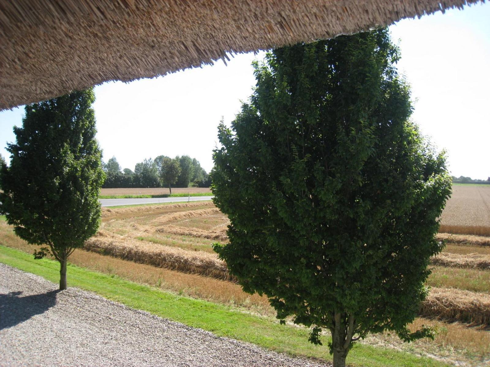 Nabolos Rooms Bovense Buitenkant foto